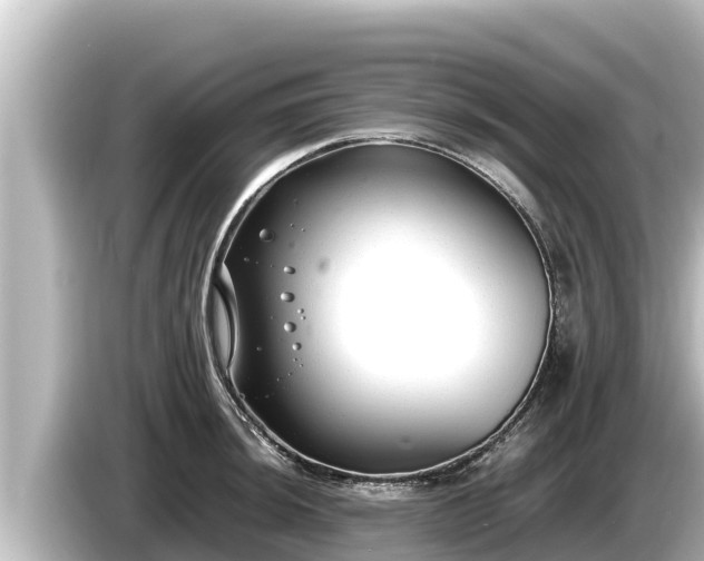 X0000085311044200703161448