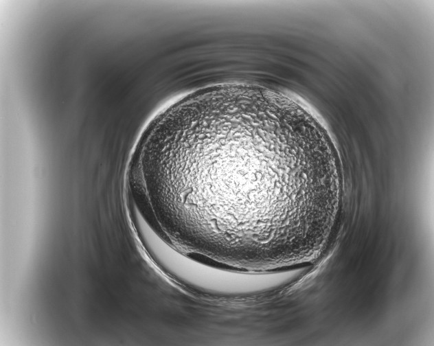 X0000085311045200703161448