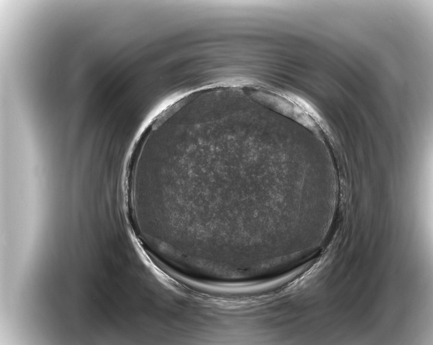 X0000085311046200703161448