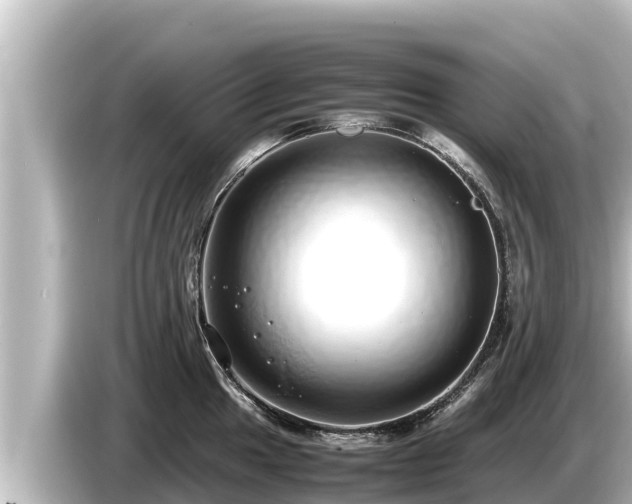 X0000085311049200703161448