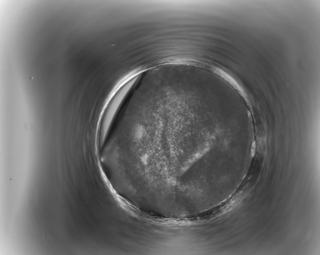 X0000085311050200703161448