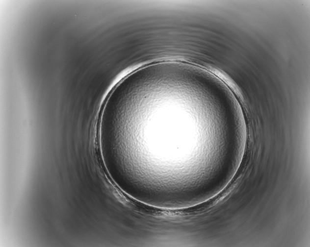 X0000085311052200703161448
