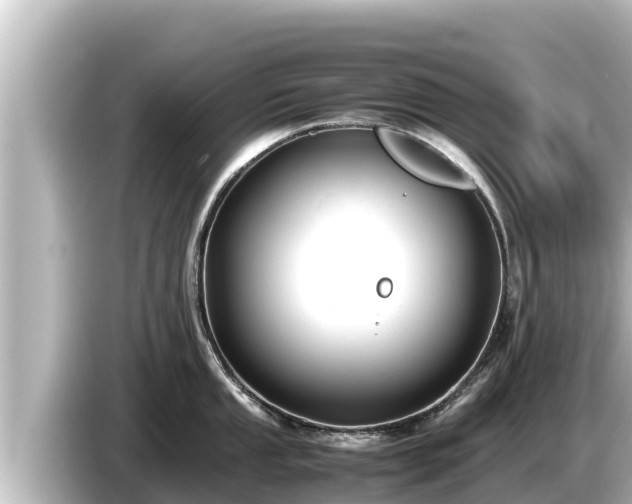 X0000085311053200703161448