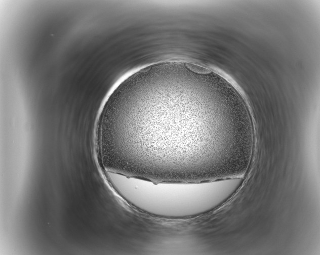 X0000085311056200703161448