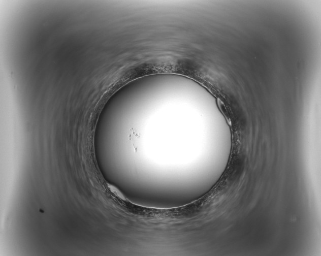X0000085311057200703161448