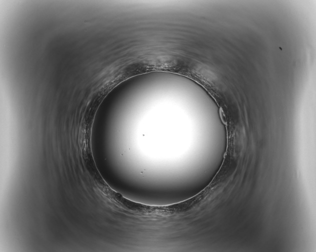 X0000085311058200703161448