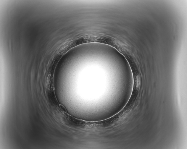 X0000085311059200703161448