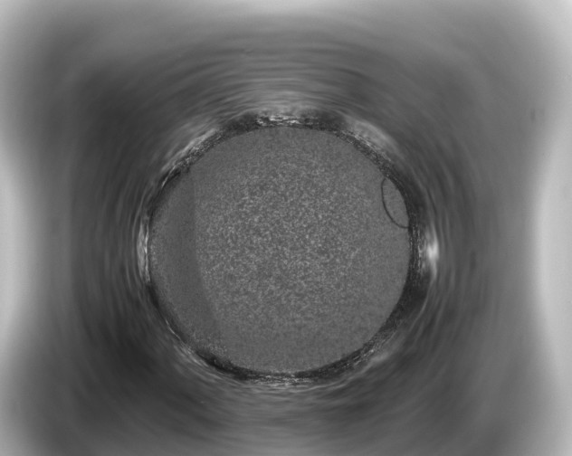 X0000085311060200703161448