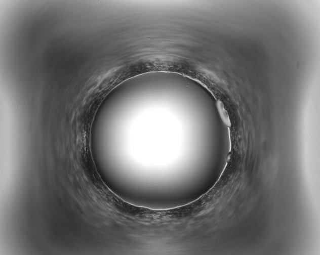 X0000085311061200703161448