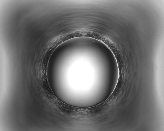 X0000085311062200703161448