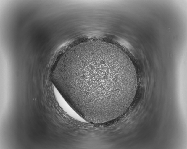 X0000085311063200703161448