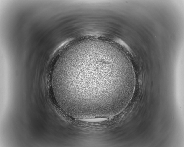 X0000085311064200703161448