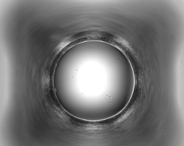 X0000085311065200703161448