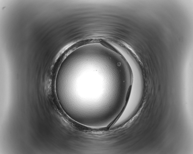 X0000085311066200703161448