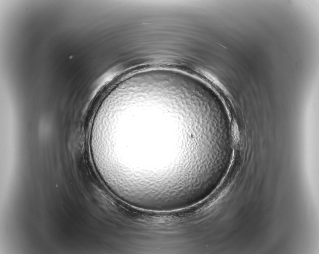 X0000085311067200703161448