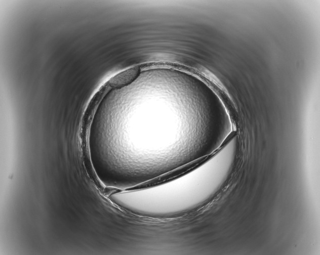 X0000085311068200703161448