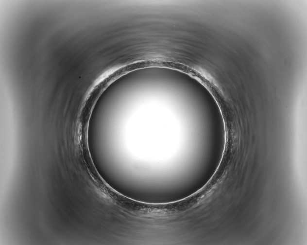 X0000085311070200703161448