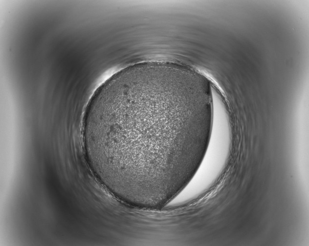 X0000085311071200703161448