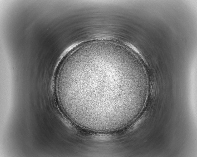 X0000085311074200703161448