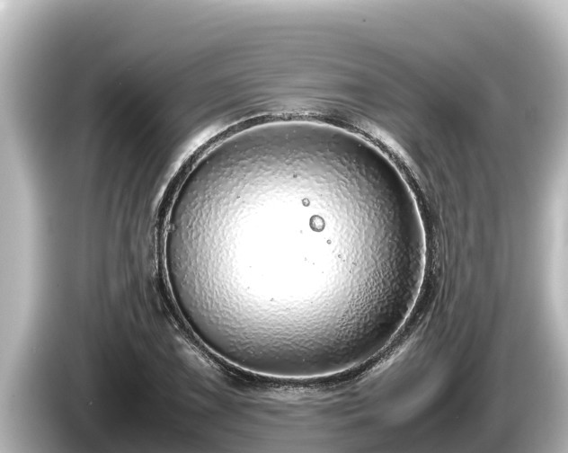 X0000085311075200703161448