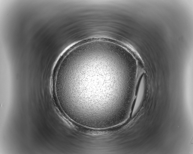 X0000085311076200703161448