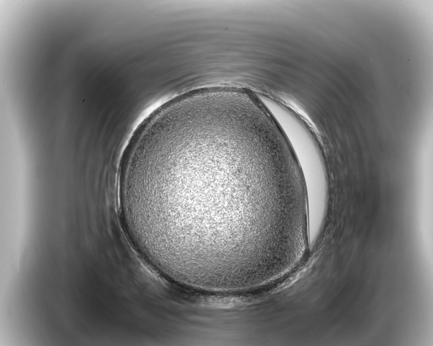 X0000085311079200703161448