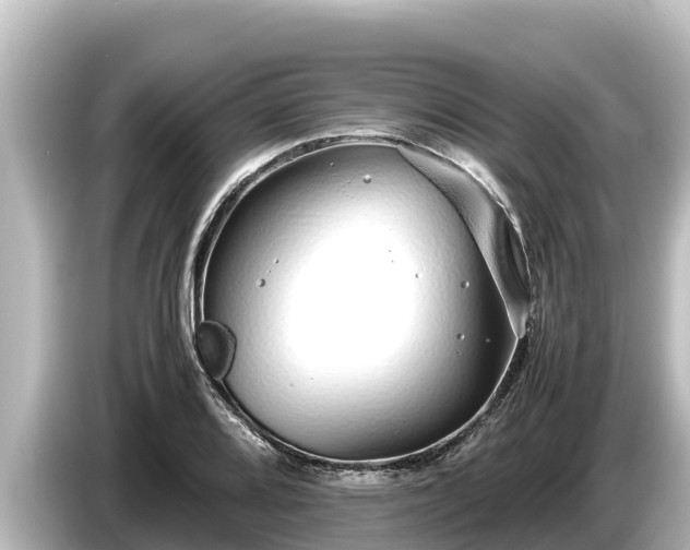 X0000085311080200703161448