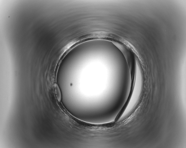 X0000085311081200703161448