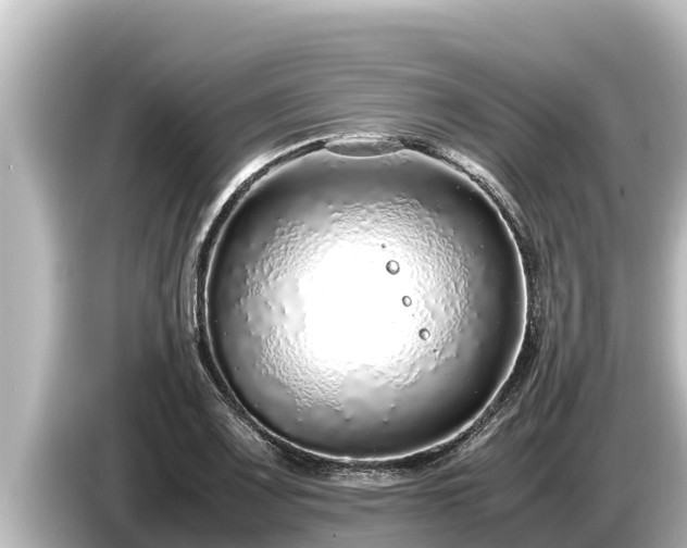 X0000085311083200703161447