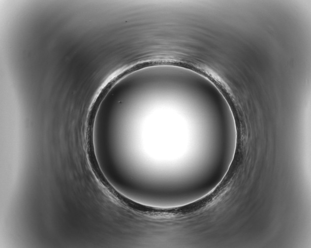 X0000085311085200703161447