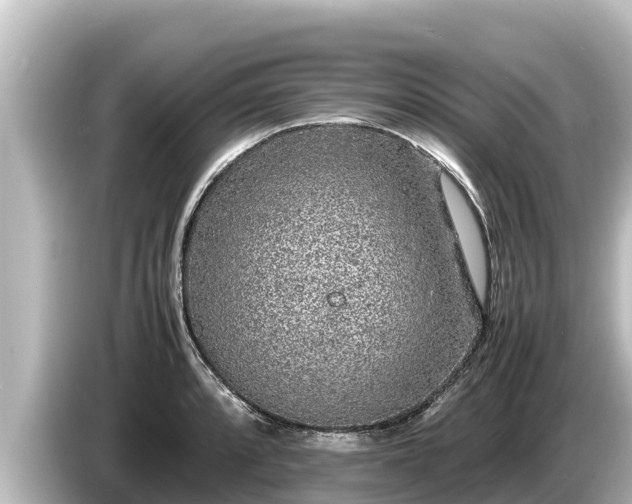 X0000085311088200703161447