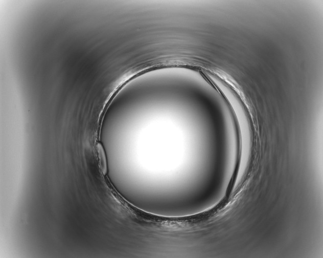 X0000085311089200703161447