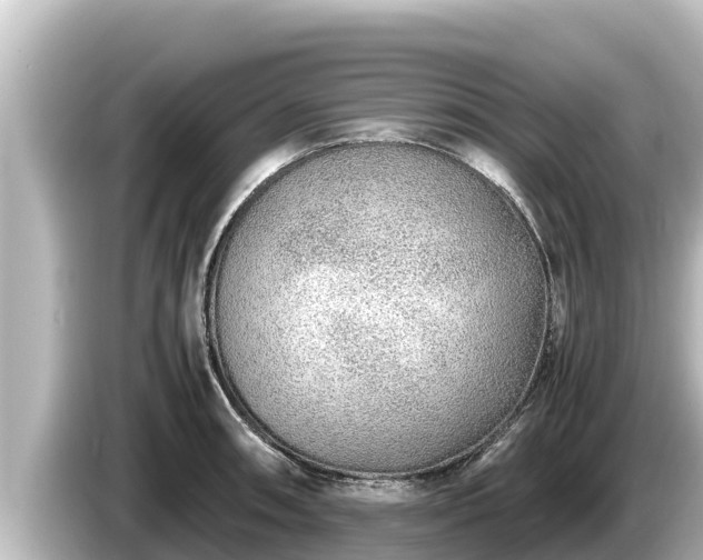 X0000085311090200703161447