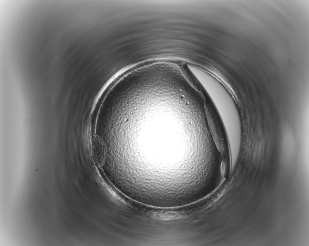 X0000085311092200703161447