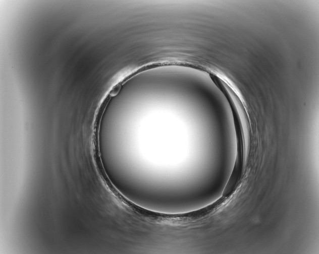 X0000085311093200703161447