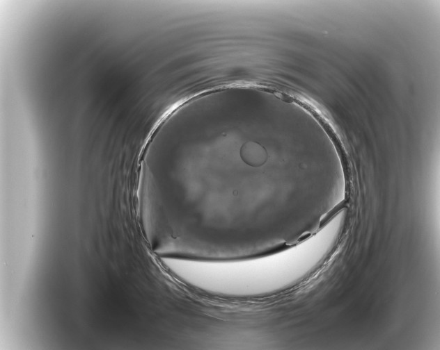 X0000085311097200703161447