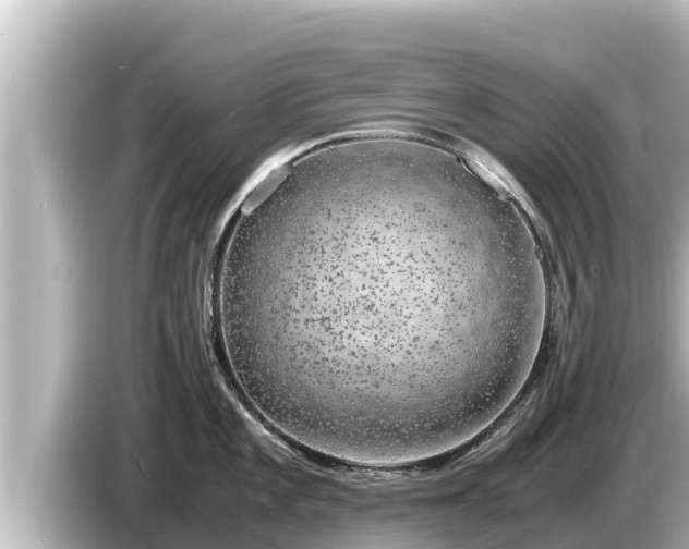 X0000085311101200703161447