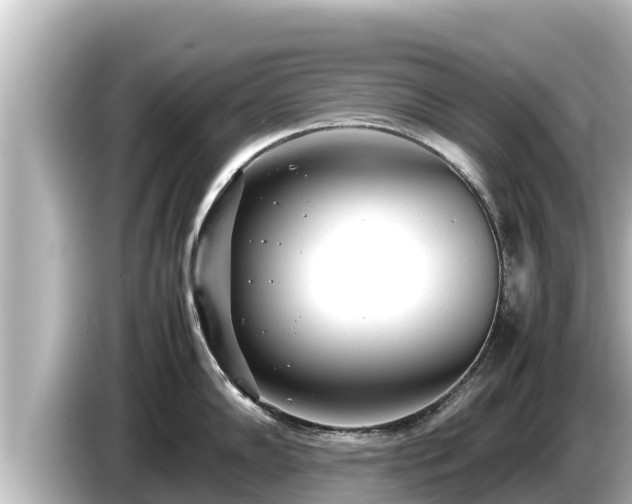 X0000085311102200703161447