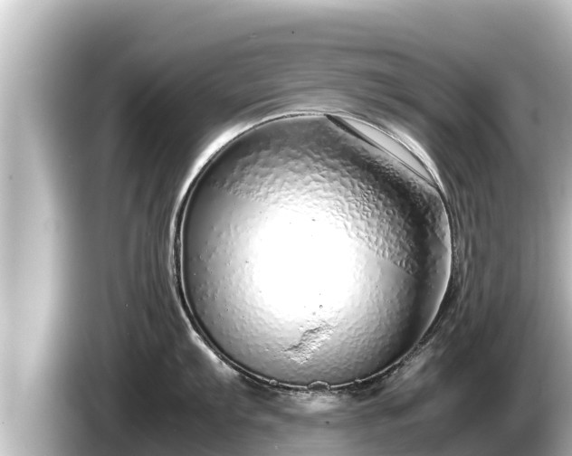 X0000085311103200703161447