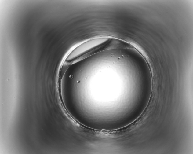 X0000085311104200703161447