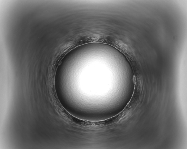 X0000085311105200703161447