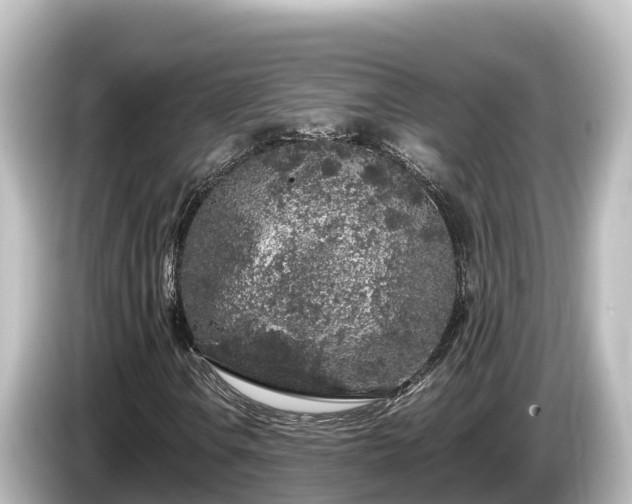 X0000085311106200703161447