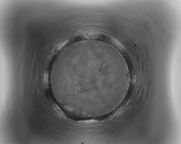X0000085311108200703161447