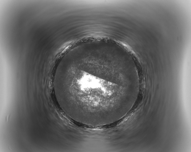 X0000085311110200703161447