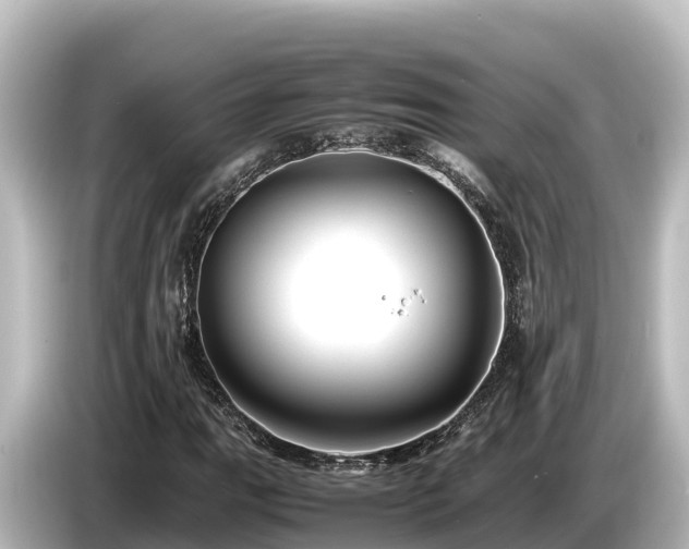 X0000085311111200703161447