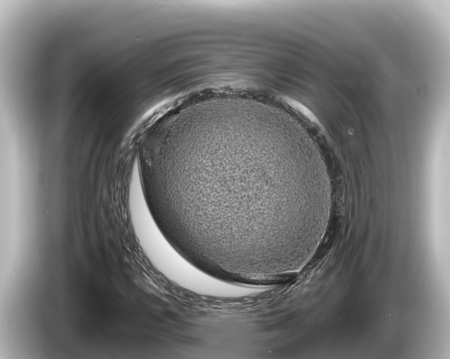 X0000085311112200703161447