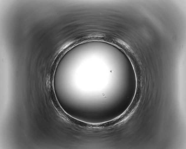 X0000085311113200703161447