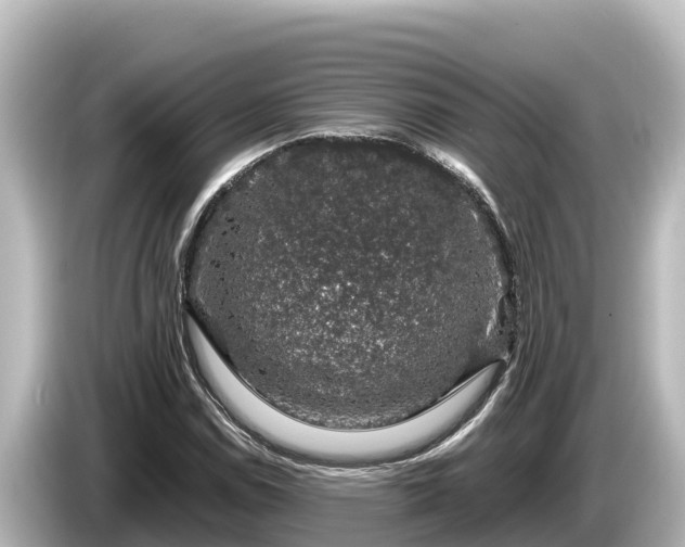 X0000085311114200703161447