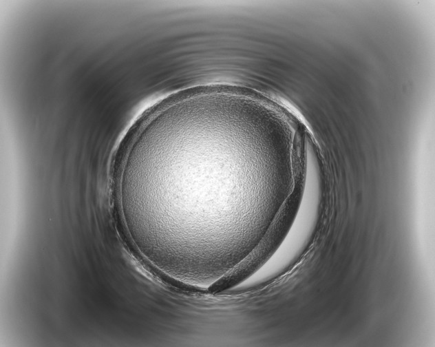 X0000085311116200703161447