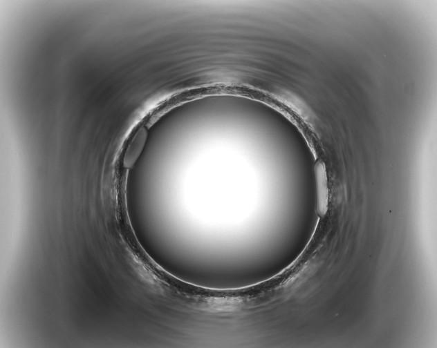 X0000085311118200703161447